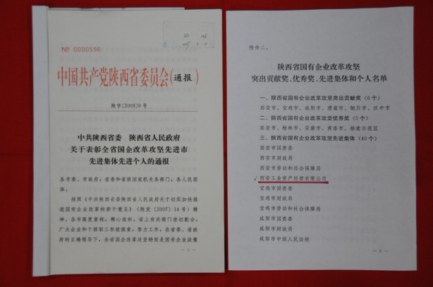 2009年2月，被陜西省委、省政府授予陜西省國有企業(yè)改革攻堅先進(jìn)集體